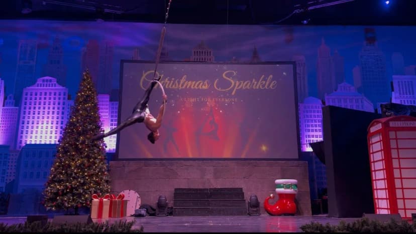 Aerial Hoop image 10