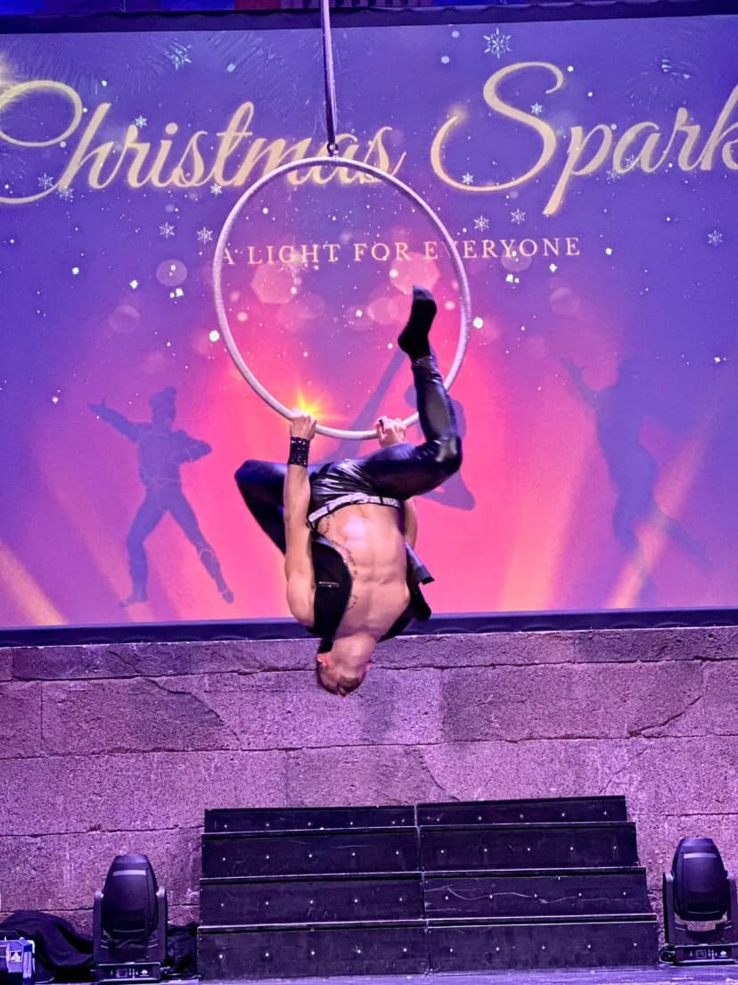 Aerial Hoop image 12