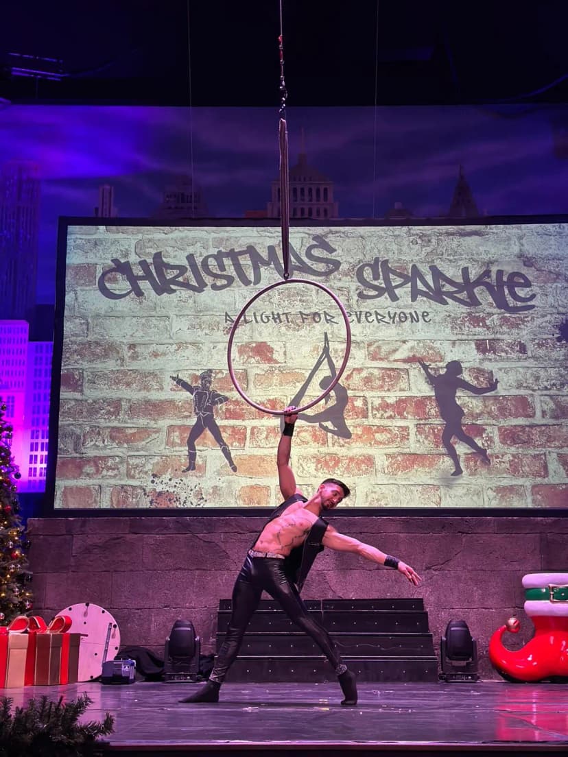 Aerial Hoop image 13