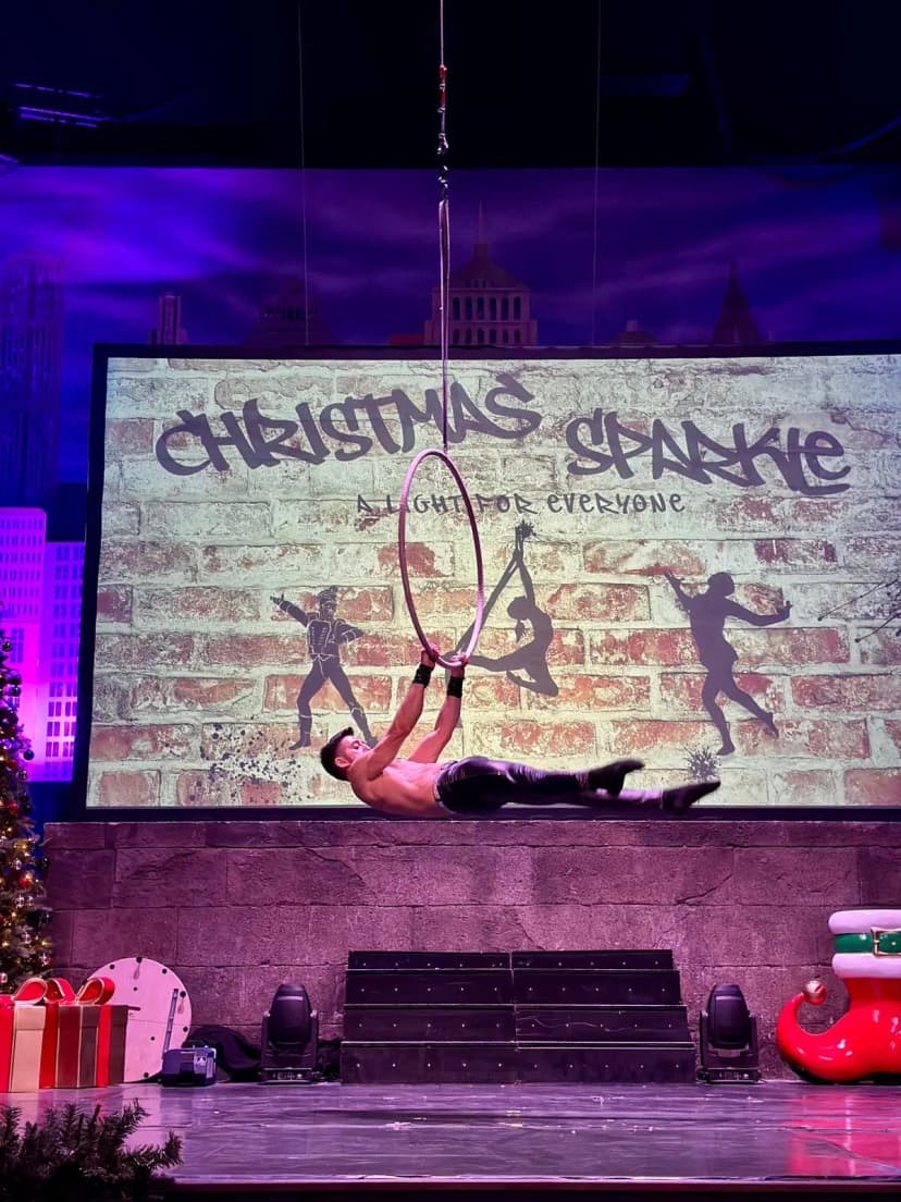 Aerial Hoop image 15