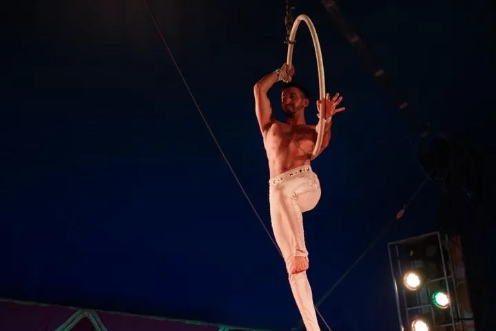 Aerial Hoop image 6