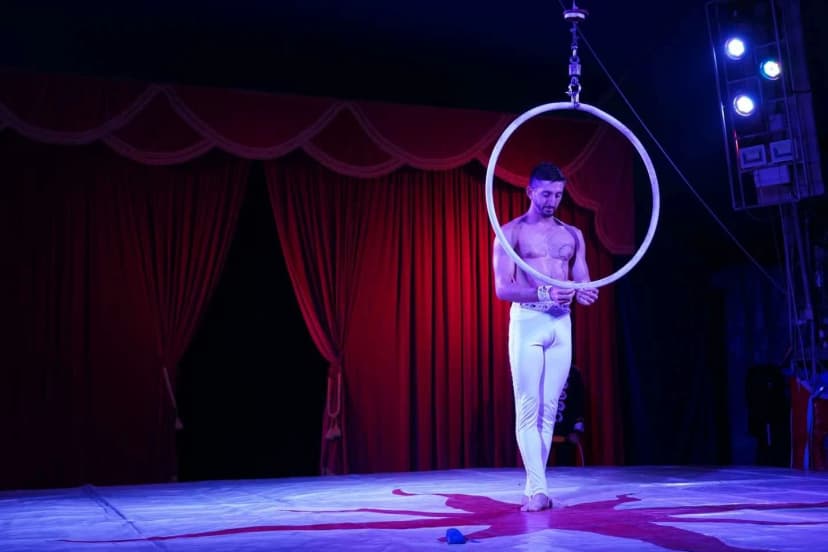 Aerial Hoop image 8