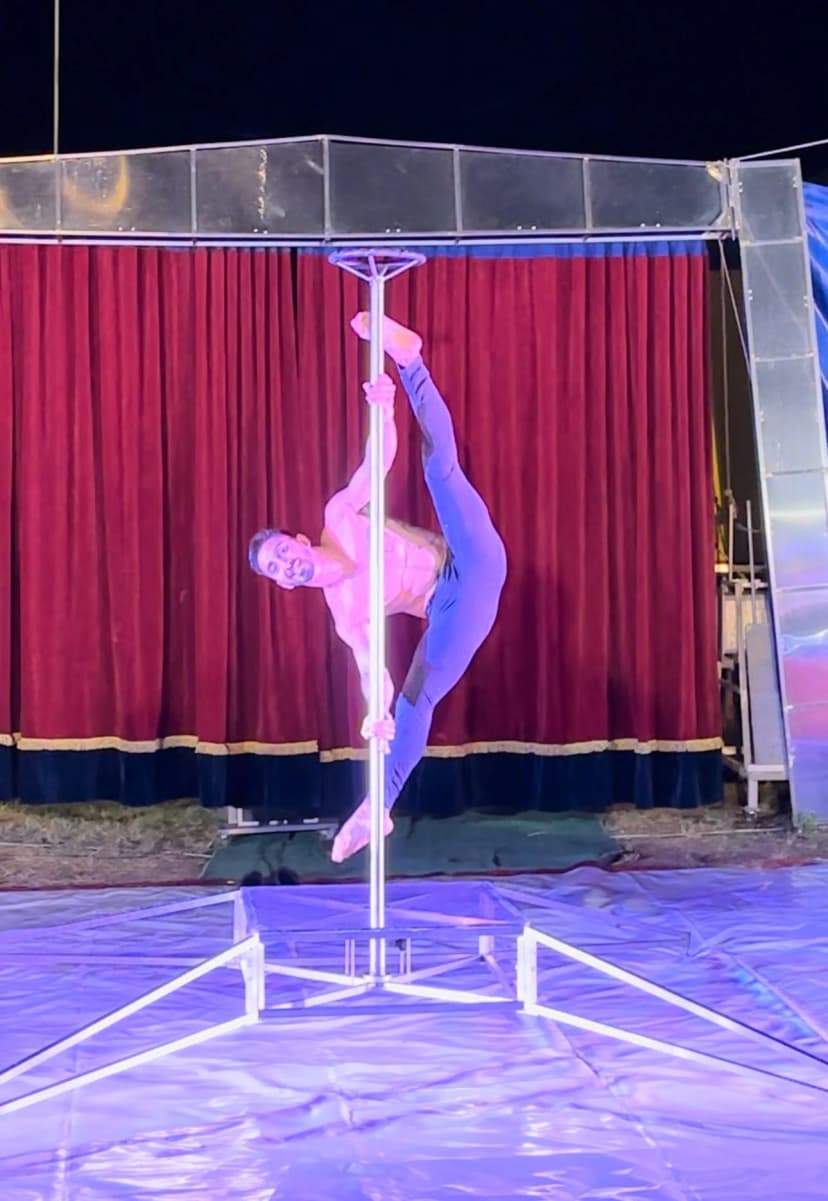 Poledance image 2