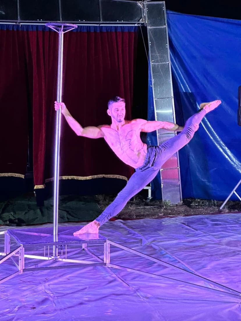Poledance image 1