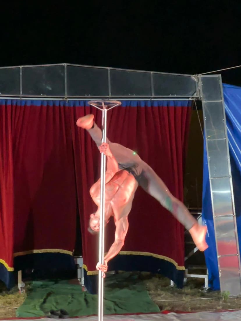 Poledance image 3