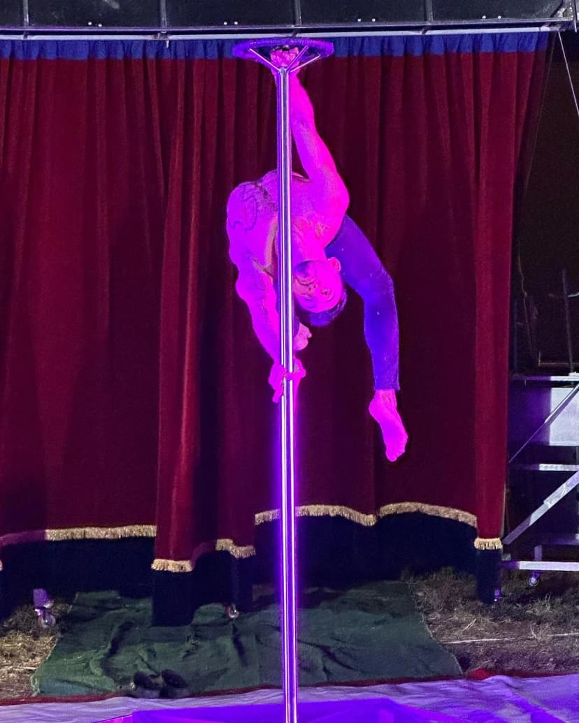 Poledance image 4