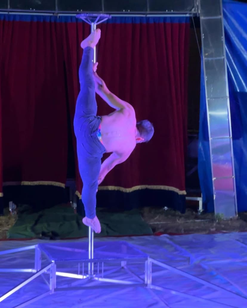 Poledance image 5