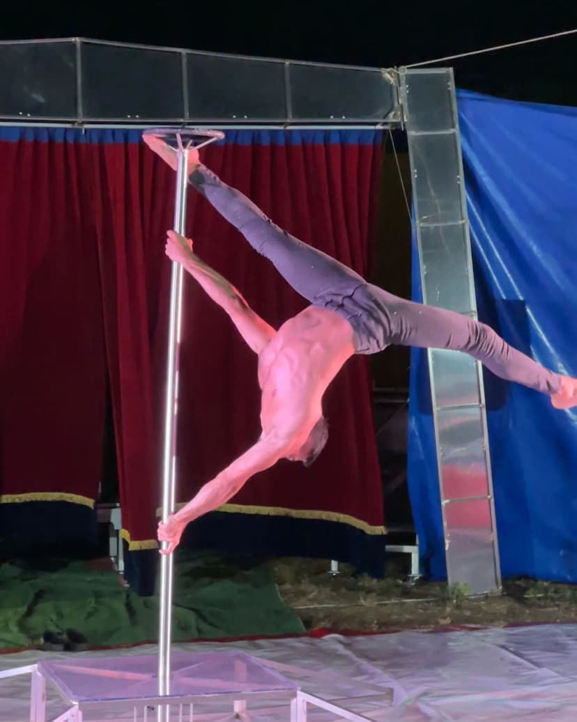 Poledance image 8